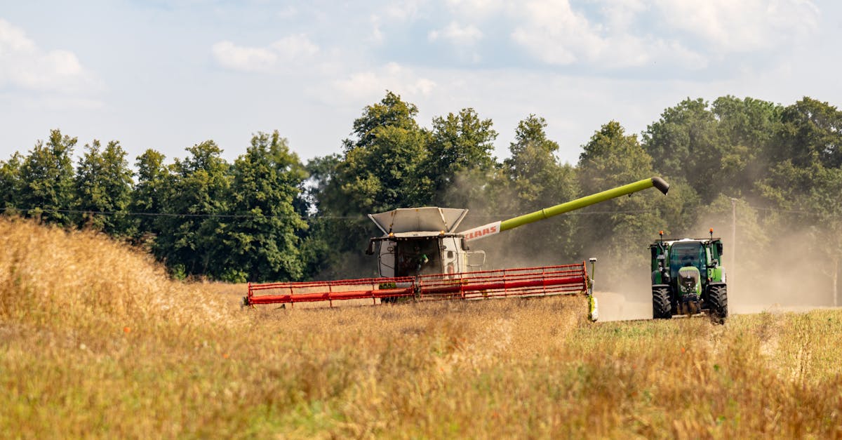 discover what mvp (minimum viable product) means, its importance in product development, and how it helps startups and businesses quickly test and validate ideas with minimal resources.