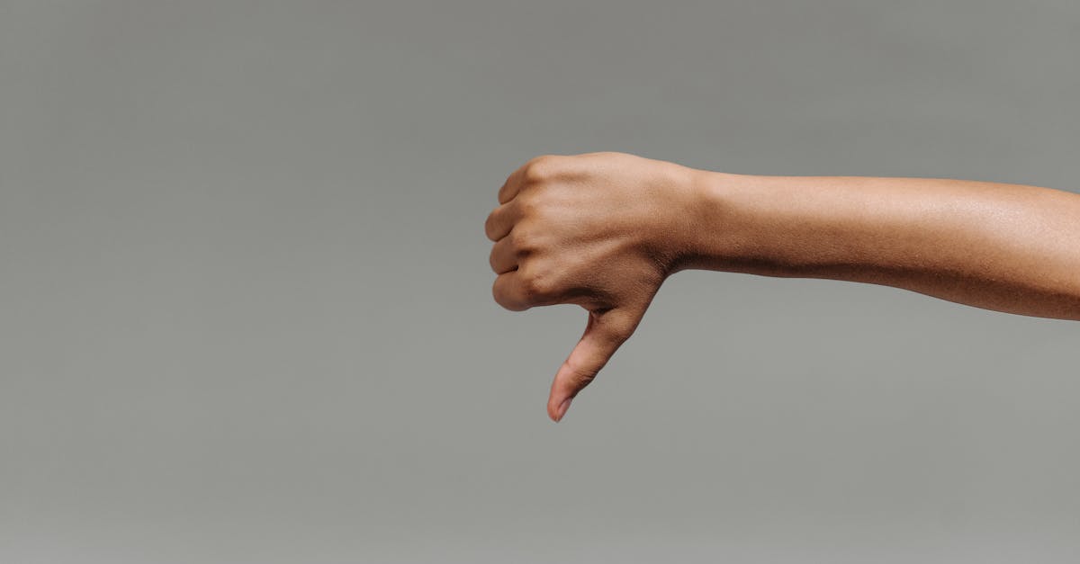 discover the importance of user feedback, how to collect it effectively, and tips to turn customer opinions into actionable insights for product and service improvement.